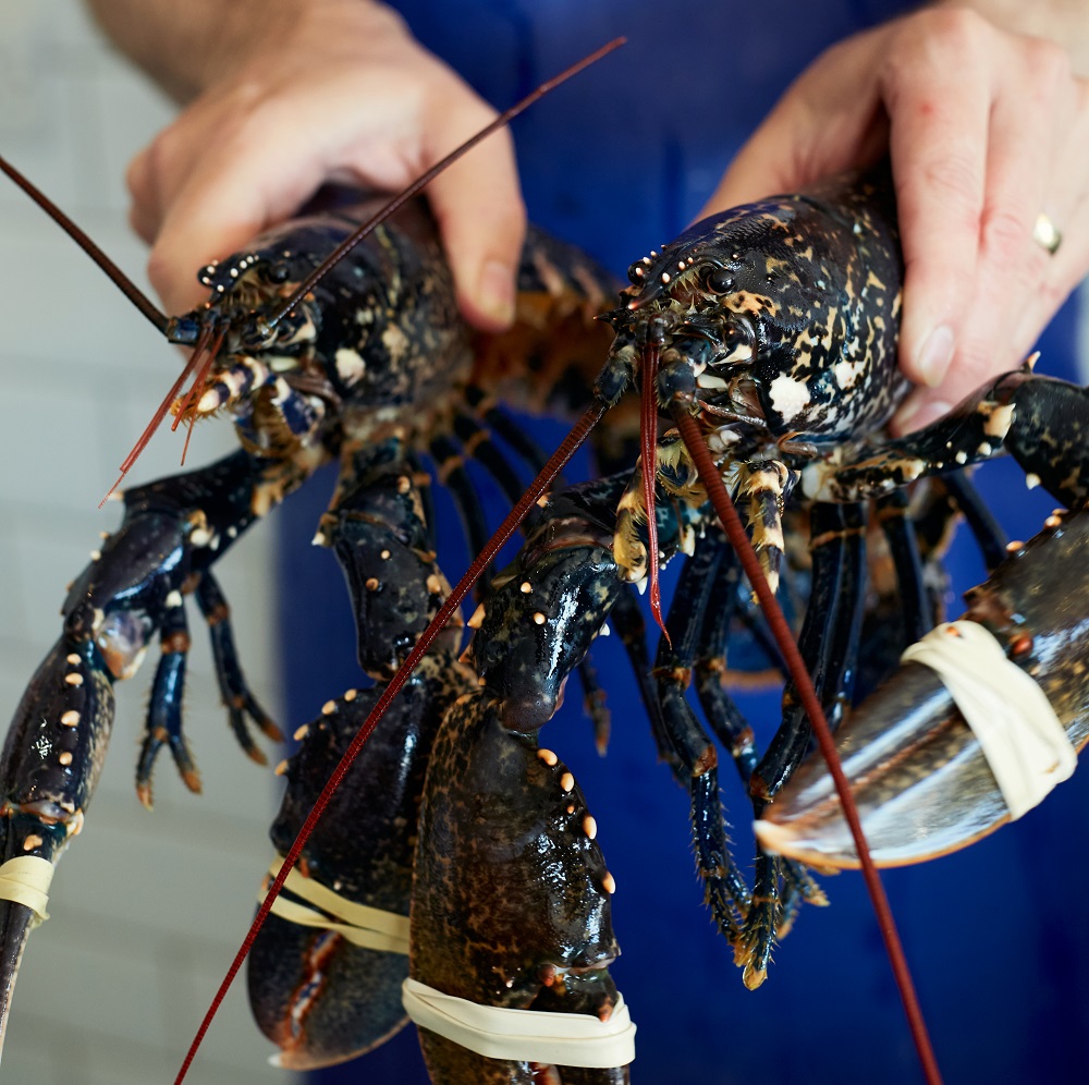 Rick-steins-cornwall-lobster