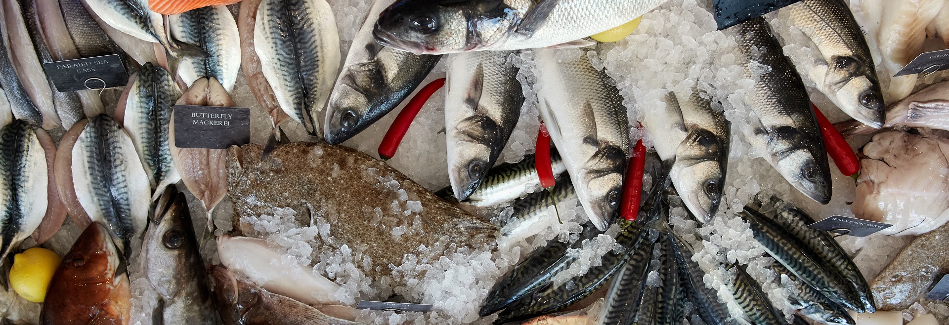 Steins-Online-Fishmongers