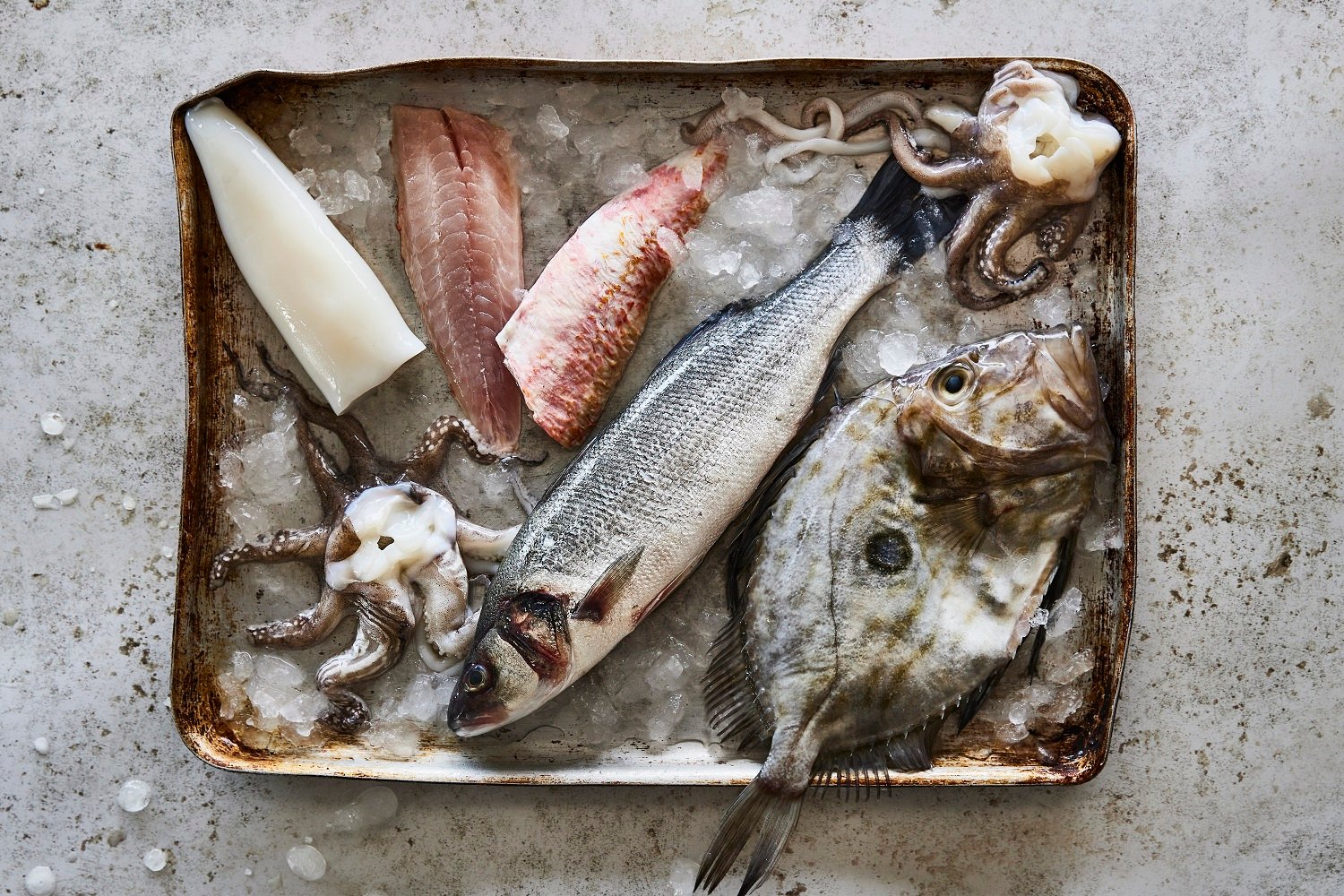 Stein's Online Fishmongers