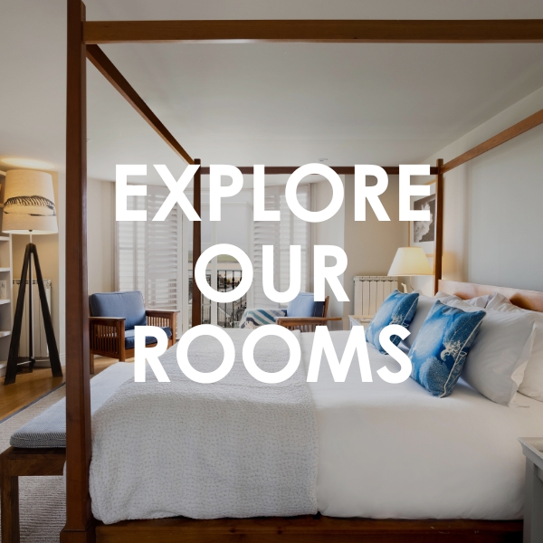 50 Rooms for £50: Celebrate 50 Years with us in Padstow 3 50 Rooms for £50: Celebrate 50 Years with us in Padstow 3